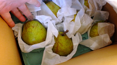 f:id:kanjuku107:20121118153515j:image