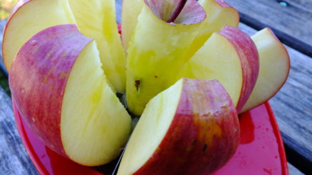 f:id:kanjuku107:20121118153745j:image
