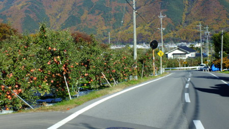 f:id:kanjuku107:20121118154053j:image