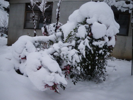 f:id:kanjuku107:20171229101715j:image:w640