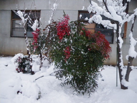 f:id:kanjuku107:20171229101747j:image:w640