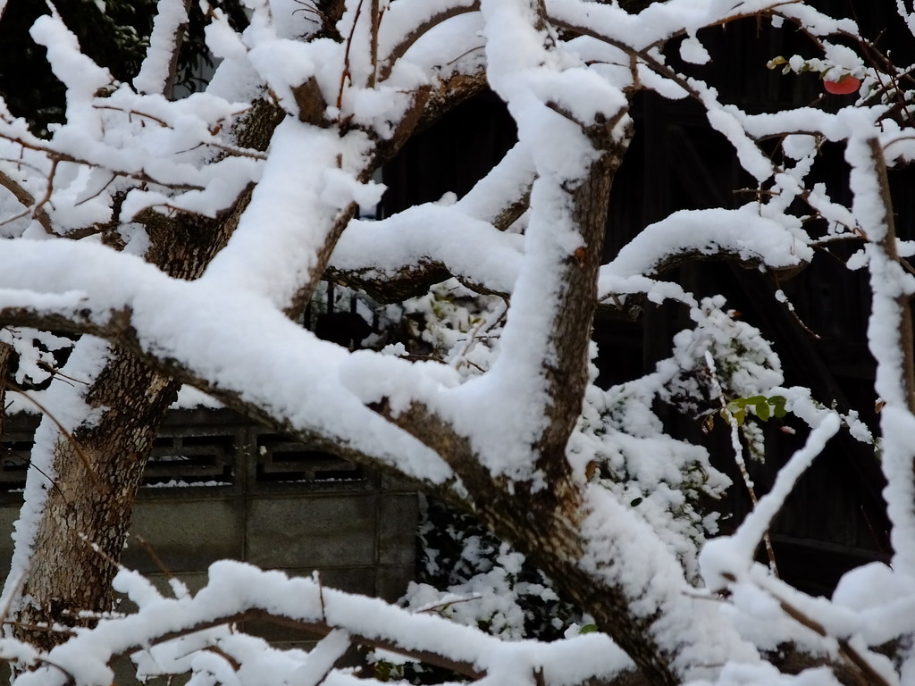 f:id:kanjuku107:20190102155756j:plain