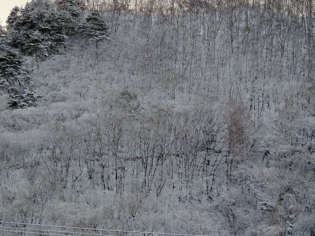 f:id:kanjuku107:20190102160216j:plain