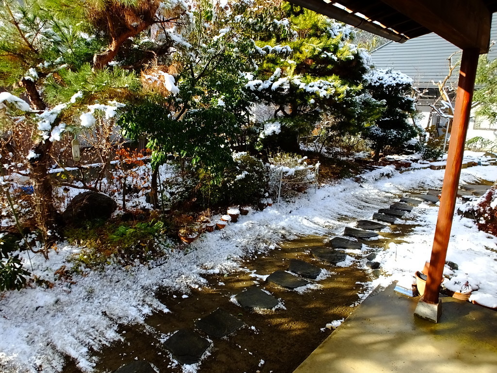 f:id:kanjuku107:20190102160538j:plain