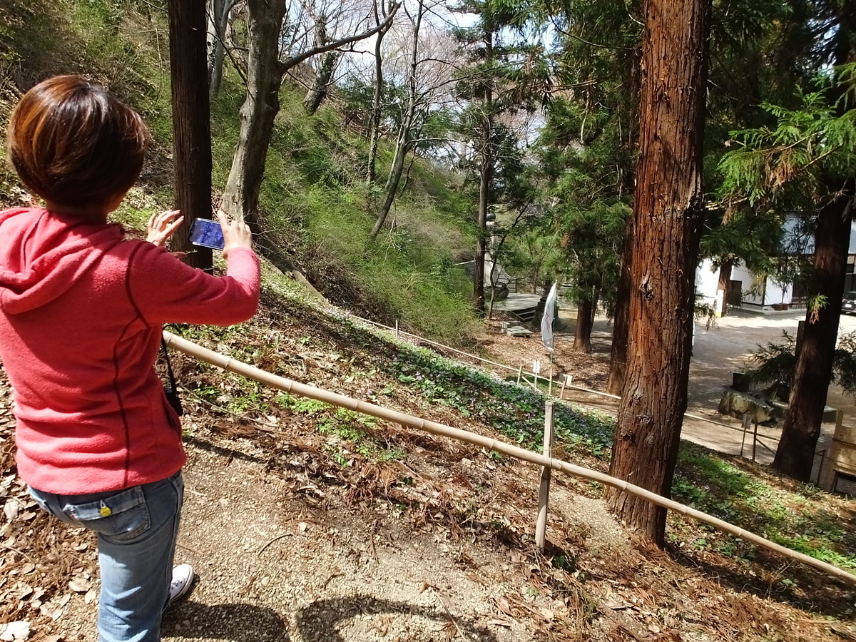 f:id:kanjuku107:20190408201320j:plain f:id:kanjuku107:20190408201320j:plain