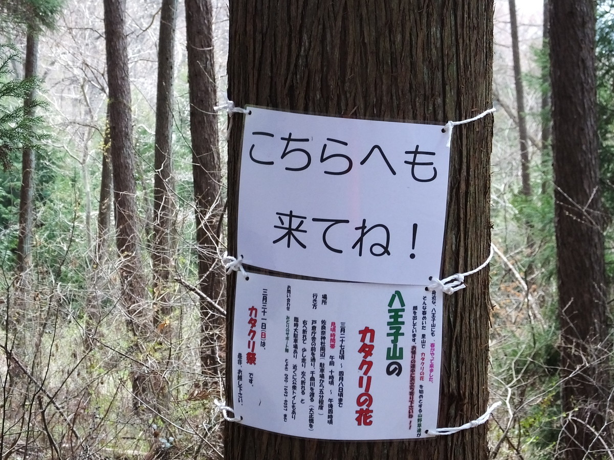 f:id:kanjuku107:20190408202436j:plain f:id:kanjuku107:20190408202436j:plain
