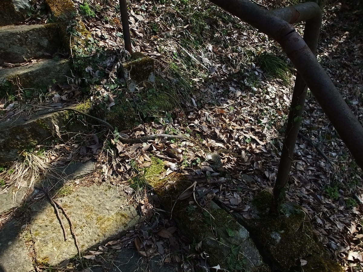 f:id:kanjuku107:20190408202711j:plain f:id:kanjuku107:20190408202711j:plain