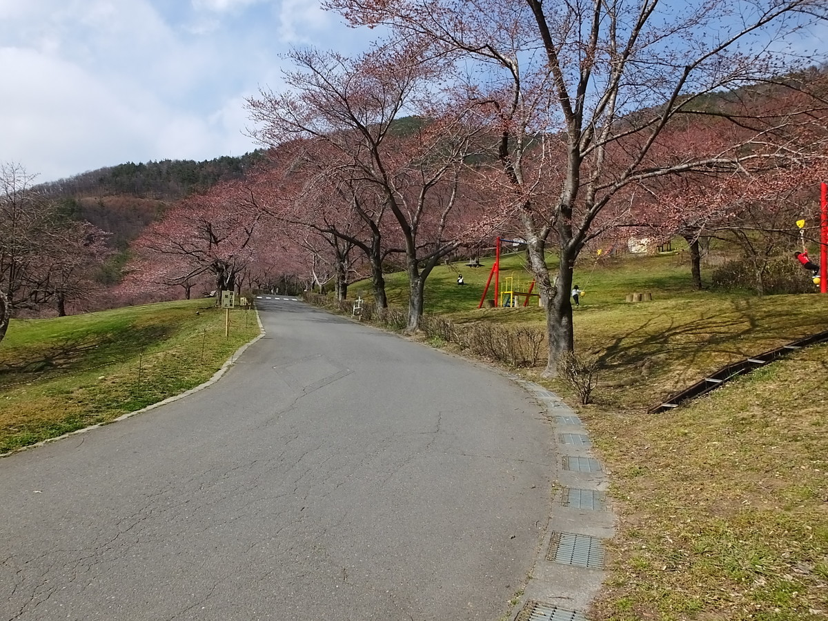 f:id:kanjuku107:20190408205159j:plain f:id:kanjuku107:20190408205159j:plain