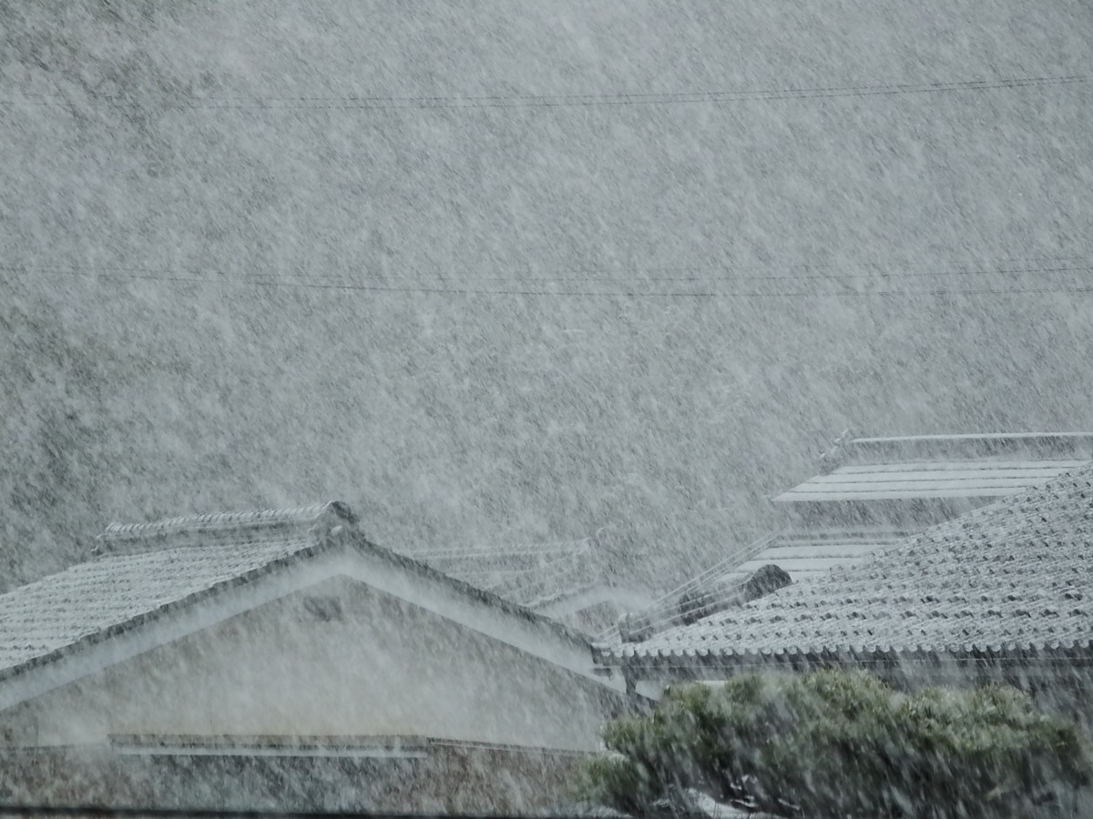 f:id:kanjuku107:20200316101706j:plain