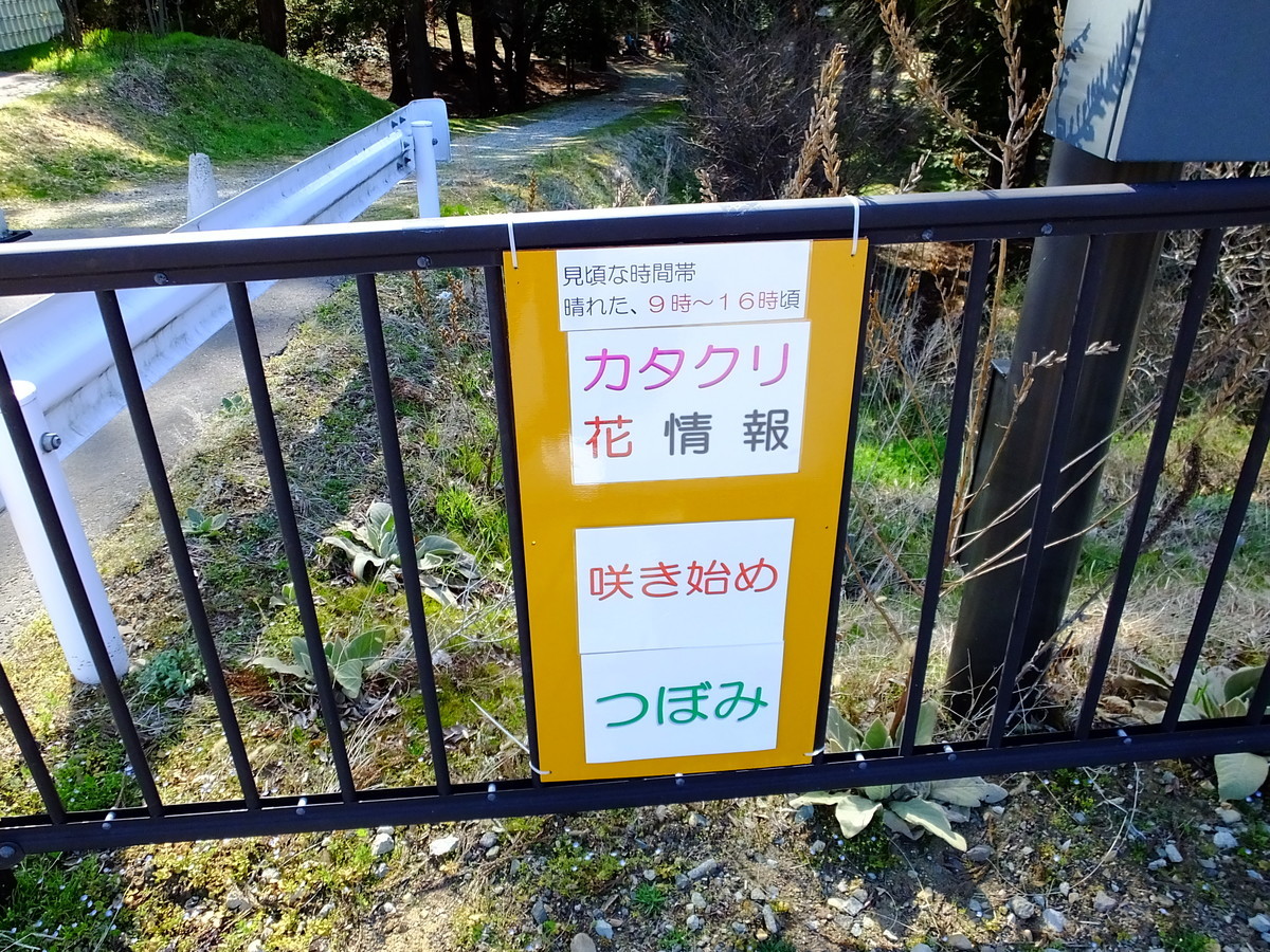f:id:kanjuku107:20200321175839j:plain f:id:kanjuku107:20200321175839j:plain