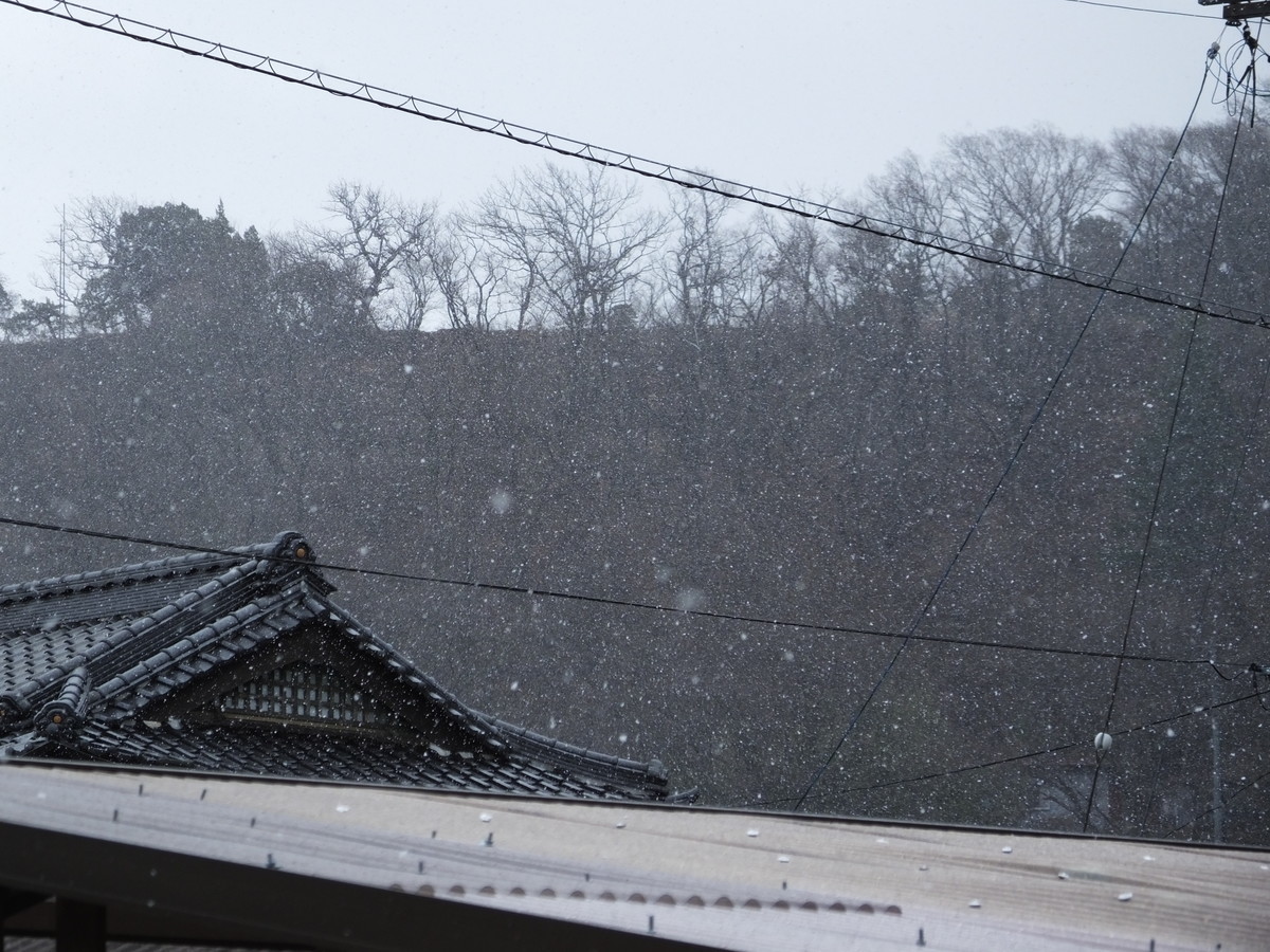 f:id:kanjuku107:20200324103627j:plain
