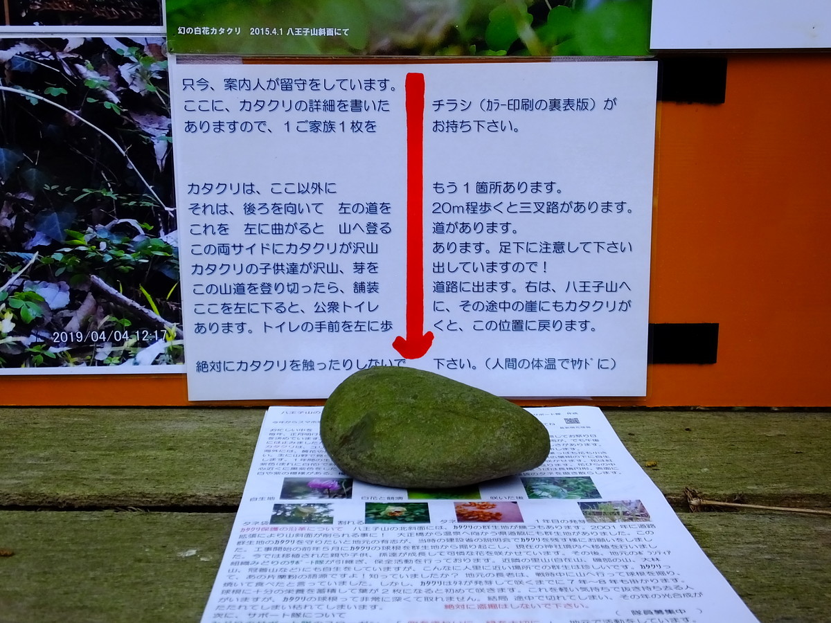 f:id:kanjuku107:20200324140959j:plain