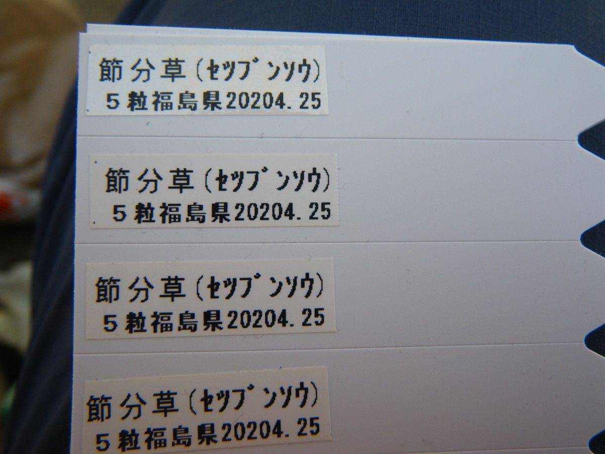 f:id:kanjuku107:20200425175951j:plain f:id:kanjuku107:20200425175951j:plain