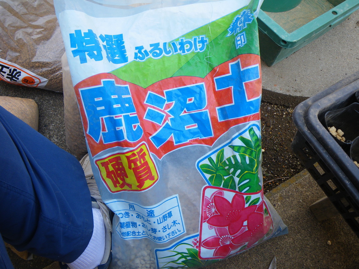 f:id:kanjuku107:20200425180203j:plain f:id:kanjuku107:20200425180203j:plain