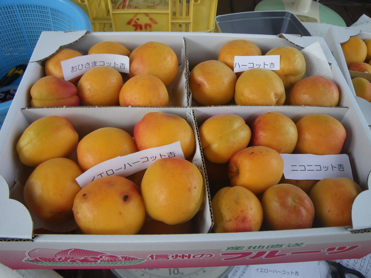 f:id:kanjuku107:20200709204431j:plain f:id:kanjuku107:20200709204431j:plain