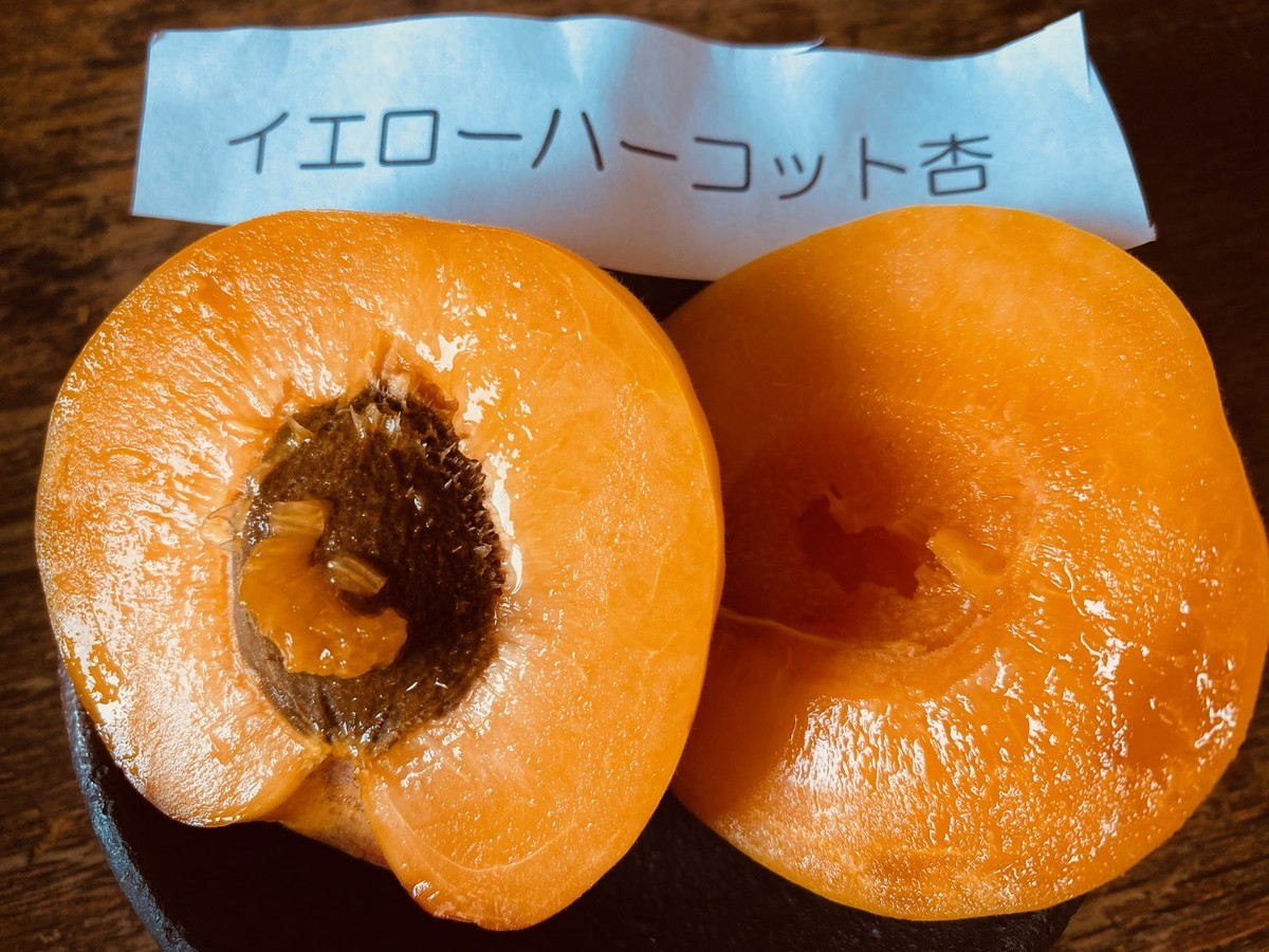 f:id:kanjuku107:20200709205835j:plain f:id:kanjuku107:20200709205835j:plain