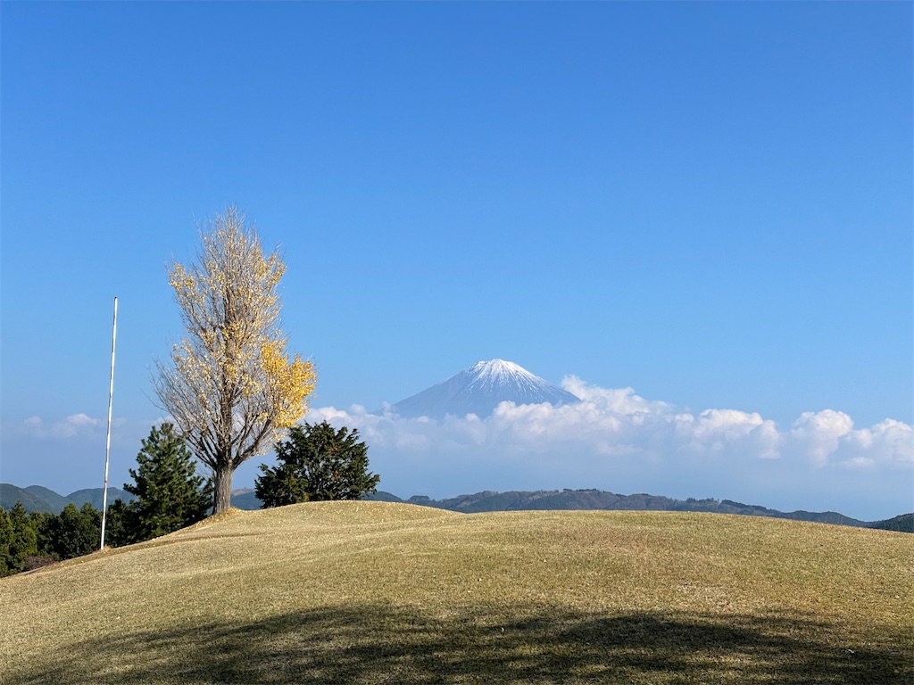 f:id:kankichi20:20211208092430j:image f:id:kankichi20:20211208092430j:image