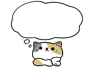 f:id:kankichi9konde:20190401044001j:plain