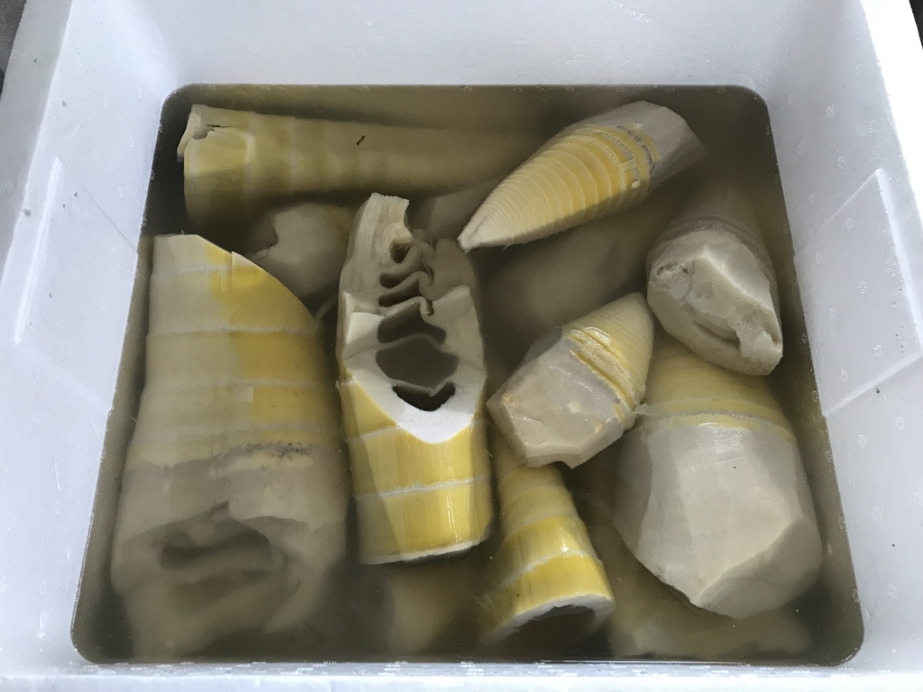 f:id:kankichikambe:20180504184233j:plain f:id:kankichikambe:20180504184233j:plain