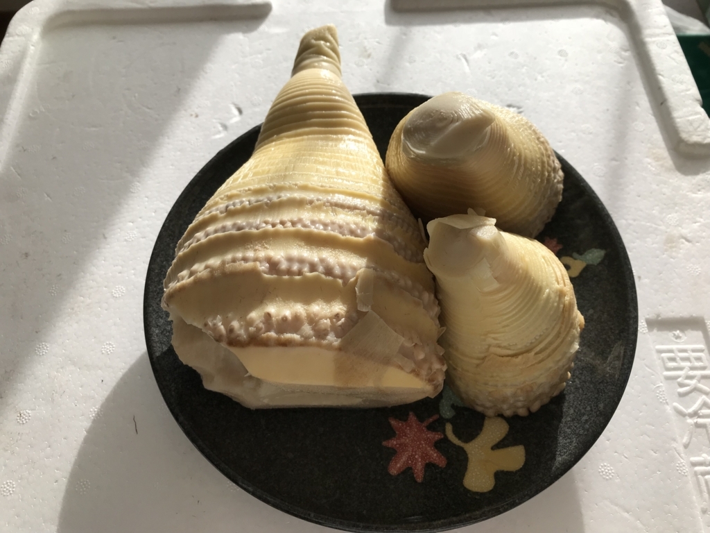 f:id:kankichikambe:20180504185352j:plain f:id:kankichikambe:20180504185352j:plain