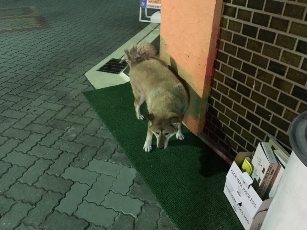 f:id:kankichikambe:20180823222843j:plain f:id:kankichikambe:20180823222843j:plain