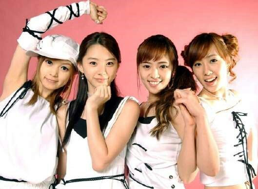 韓国で活躍する日本人 伊藤ゆみ 編 韓国ニャンズの夢