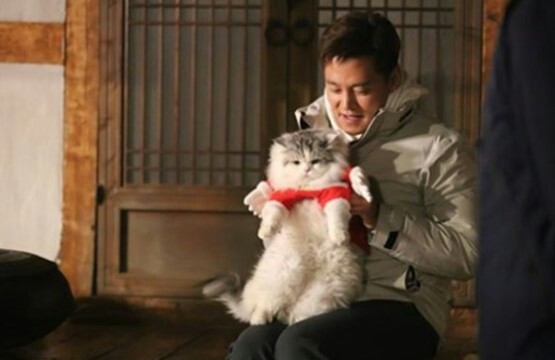 韓国 Tvn 3度の食事 2匹の猫 クンとモン 韓国ニャンズの夢