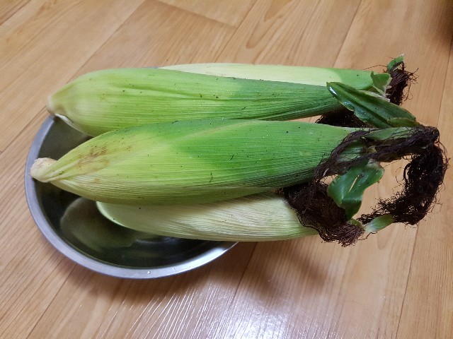 f:id:kankokuneko:20170811152418j:image f:id:kankokuneko:20170811152418j:image