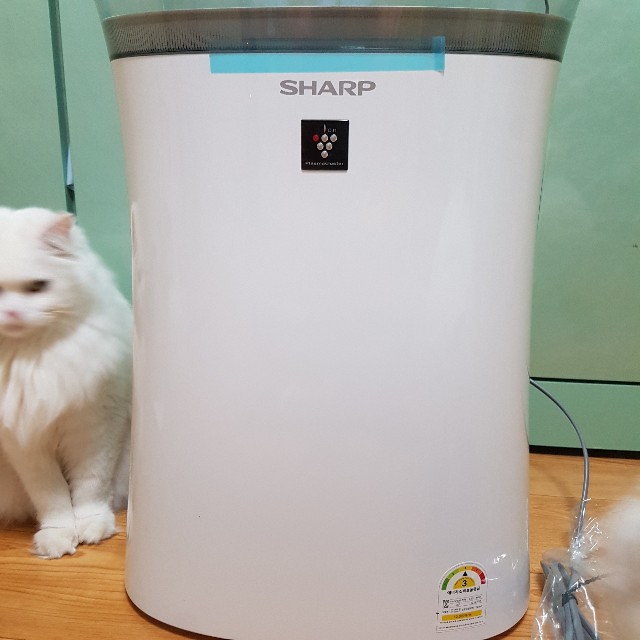 f:id:kankokuneko:20190320172458j:image f:id:kankokuneko:20190320172458j:image
