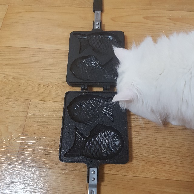 f:id:kankokuneko:20200414225147j:image