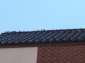 20180124134526