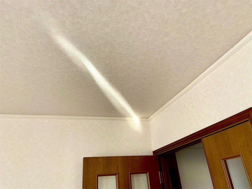 f:id:kankoto:20210303100415j:image f:id:kankoto:20210303100415j:image