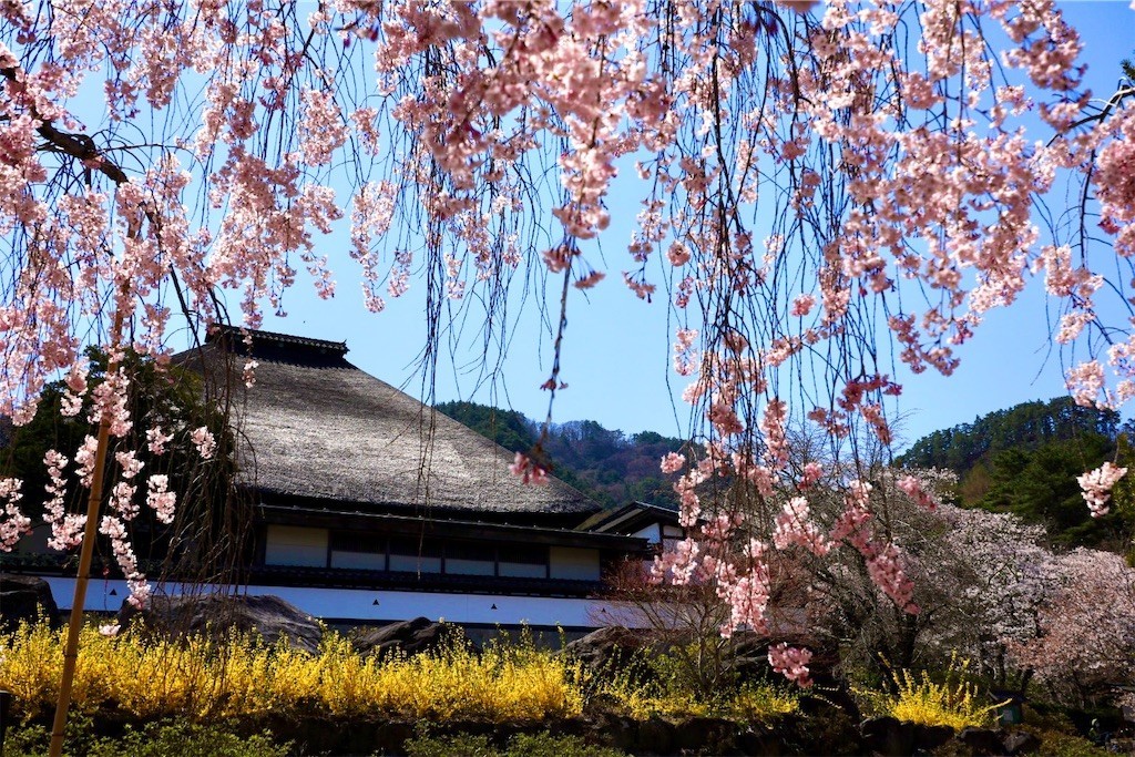 f:id:kankoto:20210412192259j:image