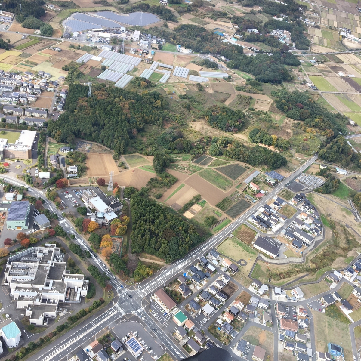f:id:kankyobiseibutu:20201126122732j:plain