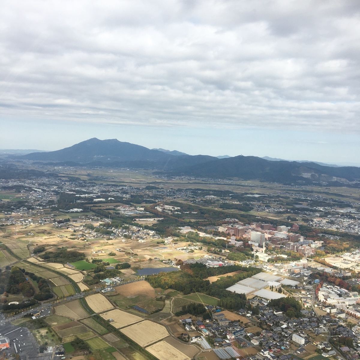 f:id:kankyobiseibutu:20201126123520j:plain