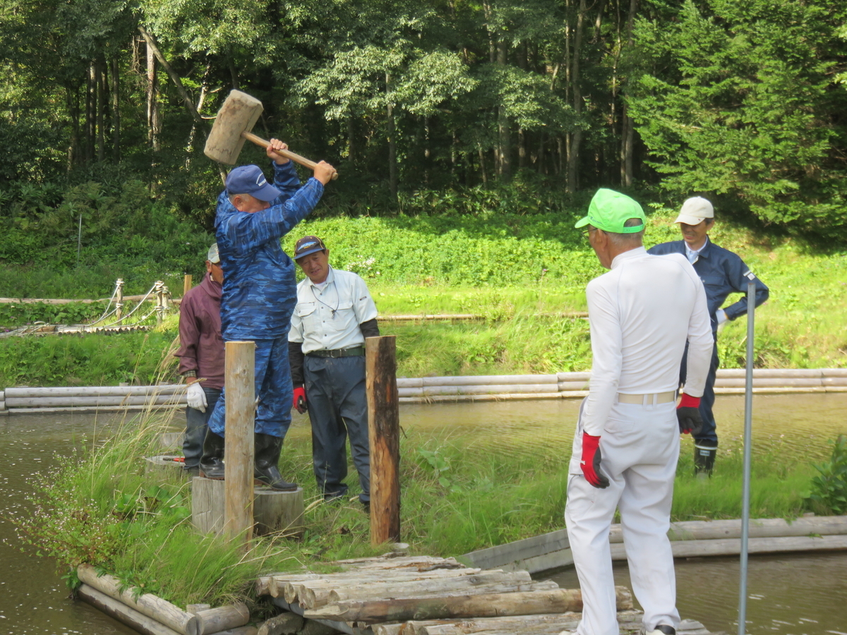 f:id:kankyokoukyo:20201006152743j:plain f:id:kankyokoukyo:20201006152743j:plain