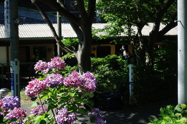f:id:kanmys:20180911091745j:plain f:id:kanmys:20180911091745j:plain
