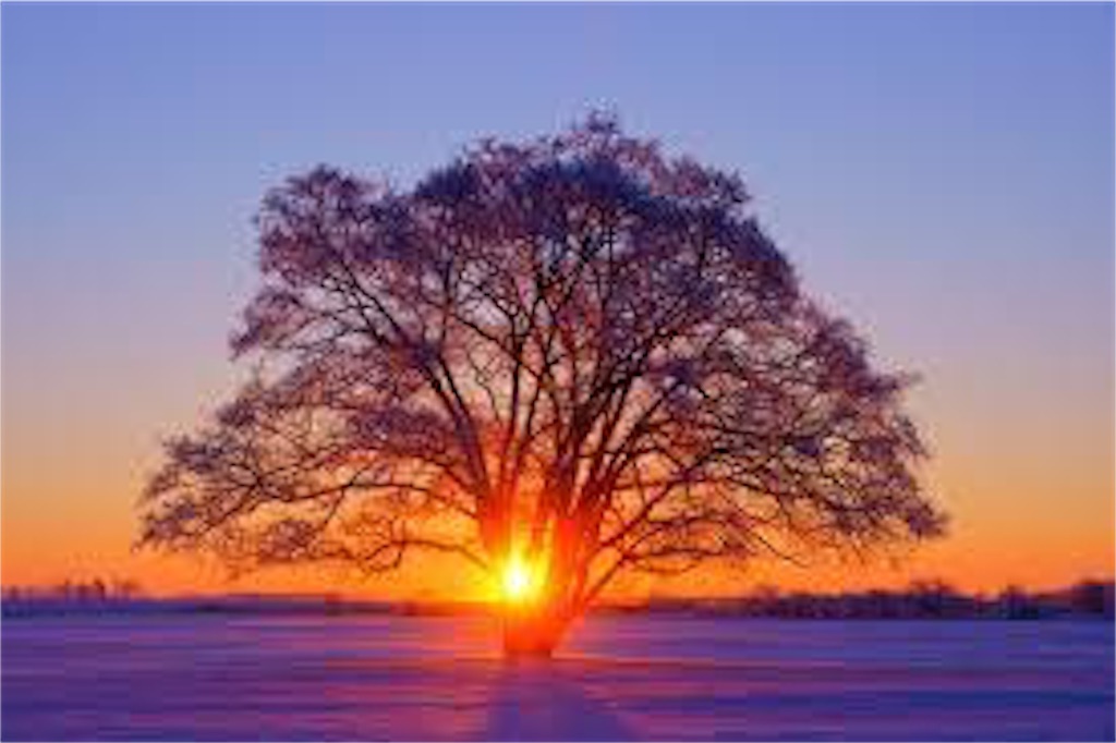 f:id:kannagold0825:20190331000659j:image