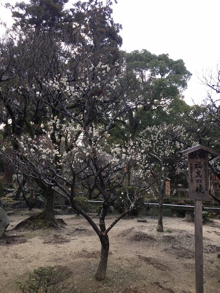 f:id:kannawadokusho:20190216131059j:plain