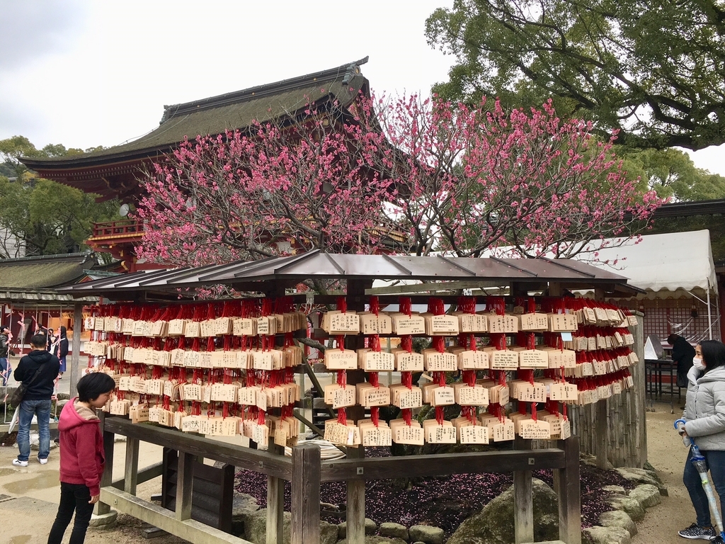 f:id:kannawadokusho:20190216131220j:plain