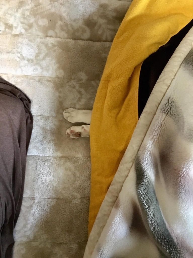 f:id:kannawadokusho:20190216142730j:plain