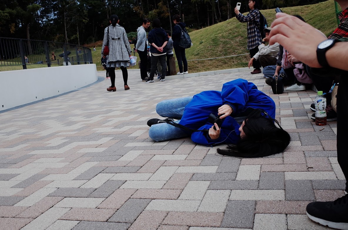 f:id:kannawadokusho:20191107172834j:plain
