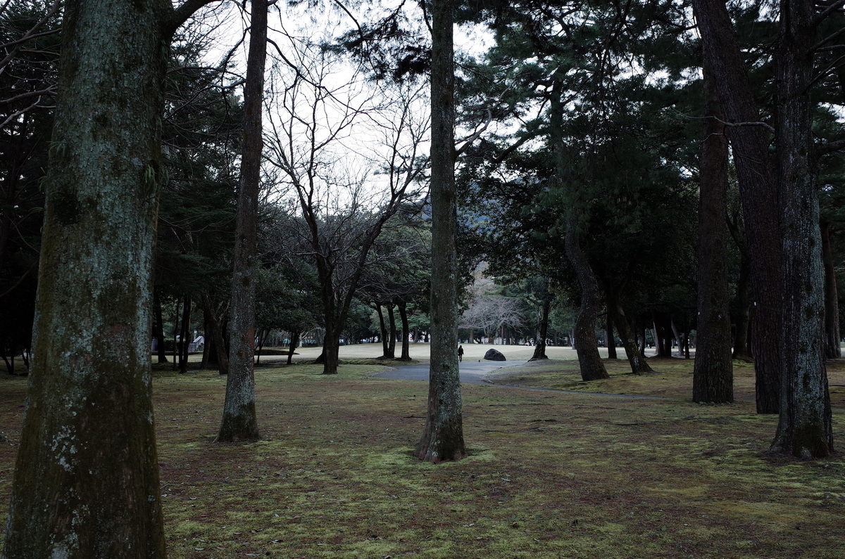 f:id:kannawadokusho:20200315174111j:plain