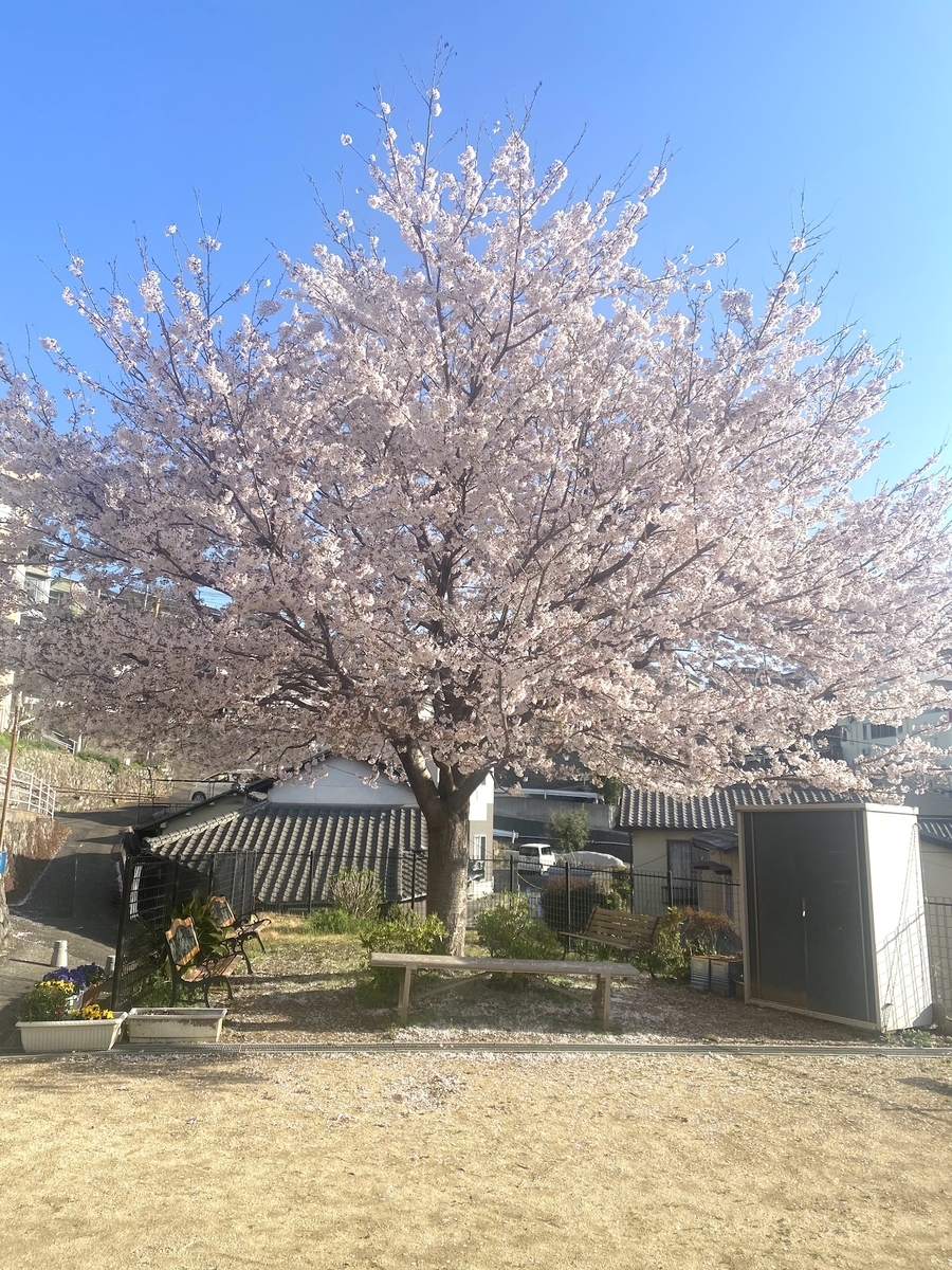 f:id:kannawadokusho:20220401224502j:plain