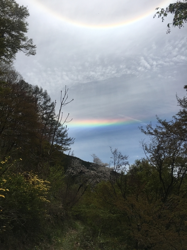 f:id:kanneko:20190429174617j:plain