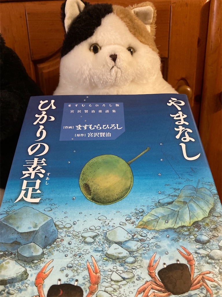 ひかりの素足とは 読書の人気 最新記事を集めました はてな