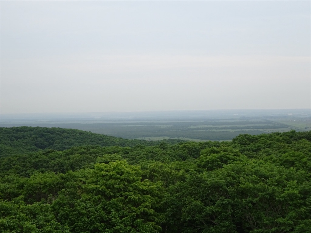 f:id:kannonta:20180721181022j:image
