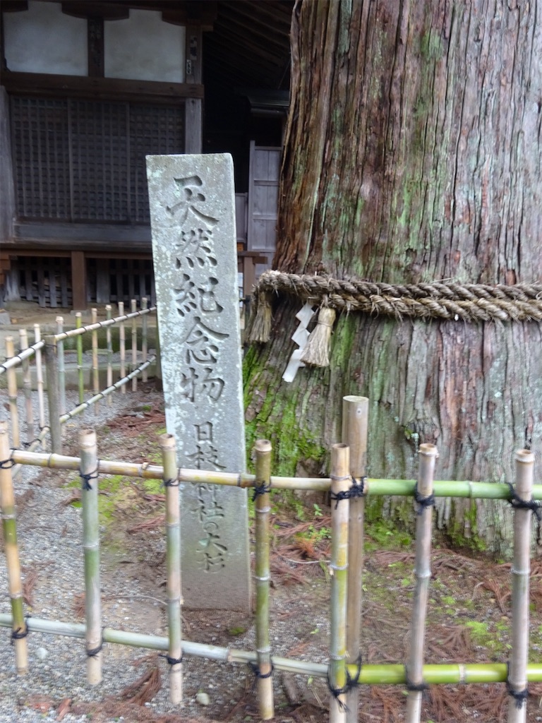 f:id:kannonta:20190706131651j:image