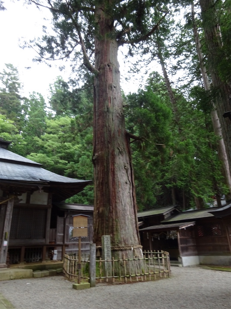 f:id:kannonta:20190706131738j:image