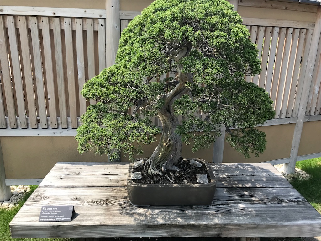 f:id:kannonta:20190817203728j:image